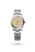 Oyster Perpetual 34 Golden Heritage Stainless Steel Watch