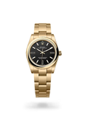Oyster Perpetual 34 Golden Noir Prestige Watch