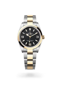 Explorer 36 Yellow Rolesor Black Dial