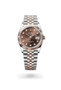 Datejust 36 Chocolate Diamond Dial Rose Gold Jubilee Watch