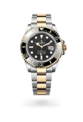 Imperial Two-Tone Deep Black Diver Watch
