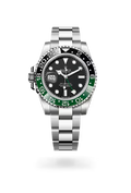 Emerald Horizon GMT Explorer Watch