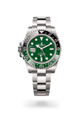 Emerald Steel GMT Explorer Watch