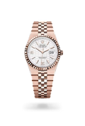 Land-Dweller 36 Modern Rose Luxe Timepiece
