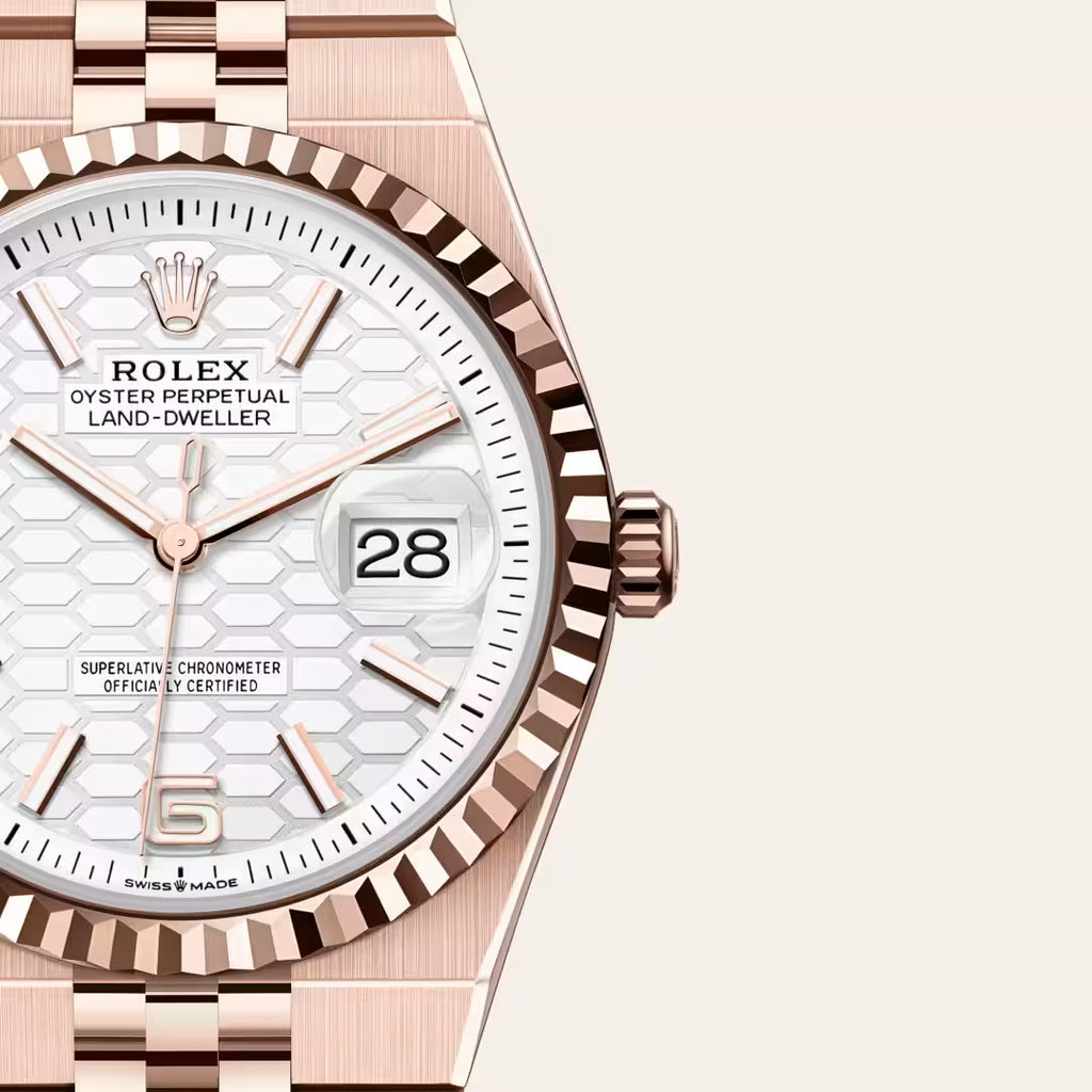 Land-Dweller 36 Modern Rose Luxe Timepiece
