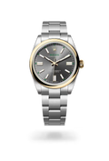 Oyster Perpetual 41 Grey Gold Heritage Stainless Steel Watch