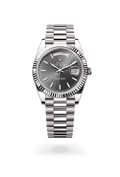 Day-Date 40 Luxury Silver Day-Date Watch with Grey Dial