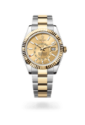 ROLEX SKY DWELLER GOLD WHITE DIAL