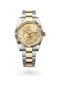 Sky-Dweller Refined Gold Accent Executive Watch